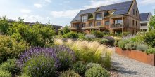 Gartengestaltung in Graz: Klimaangepasste Pflanzen und aktuelle Trends